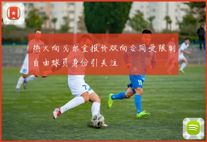 热火向戈尔金报价双向合同受限制自由球员身份引关注